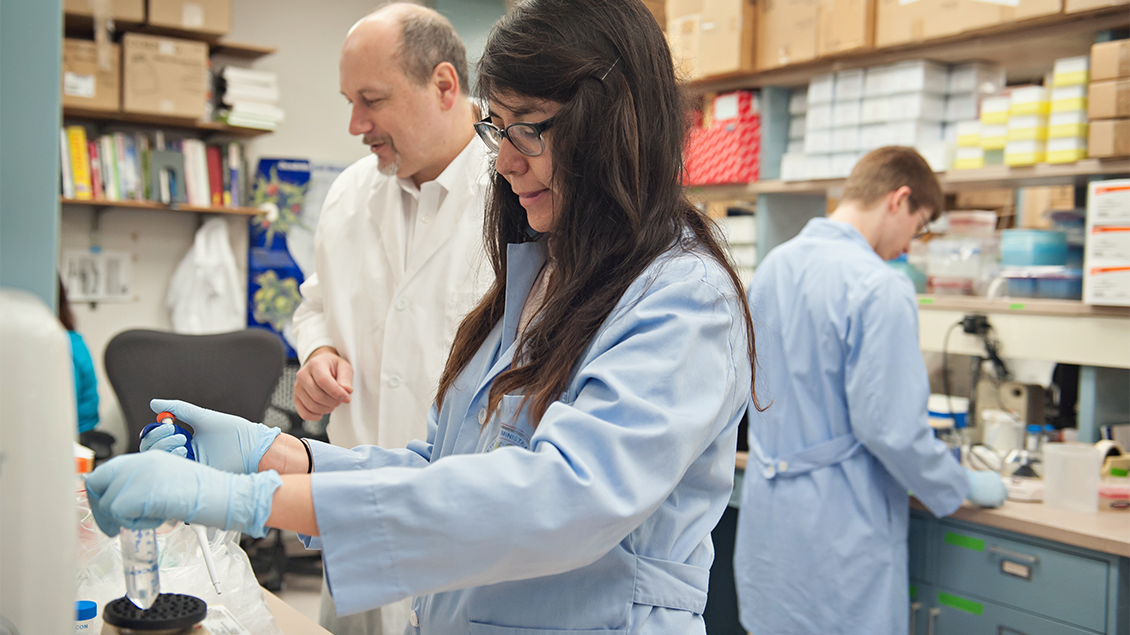 Doctors in a lab