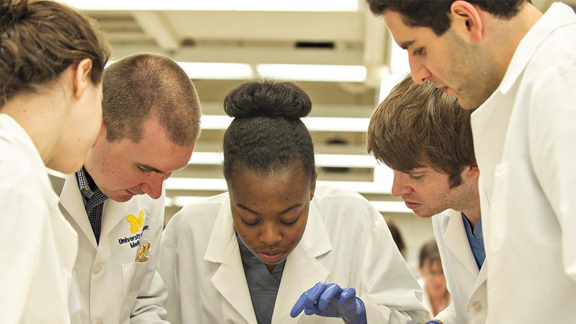 A group of students doing research