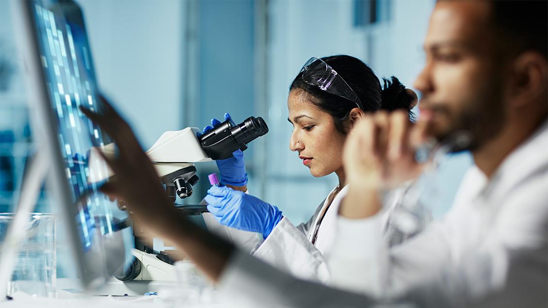 Doctors performing research