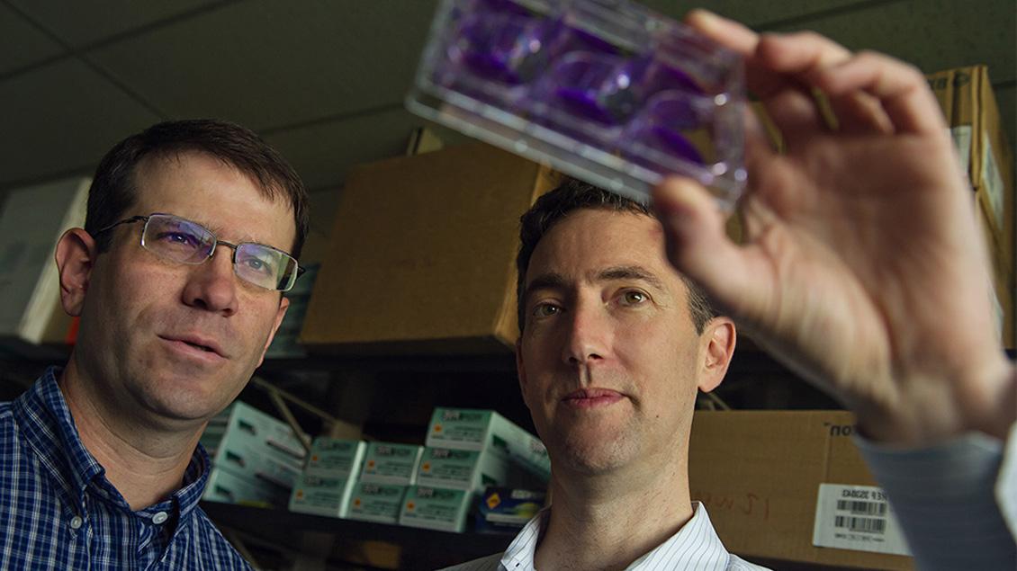 Two doctors review an image