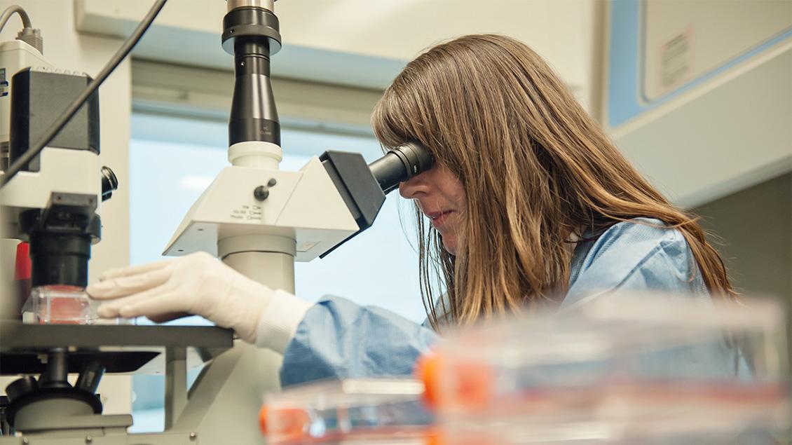 Researcher looking through a microscope