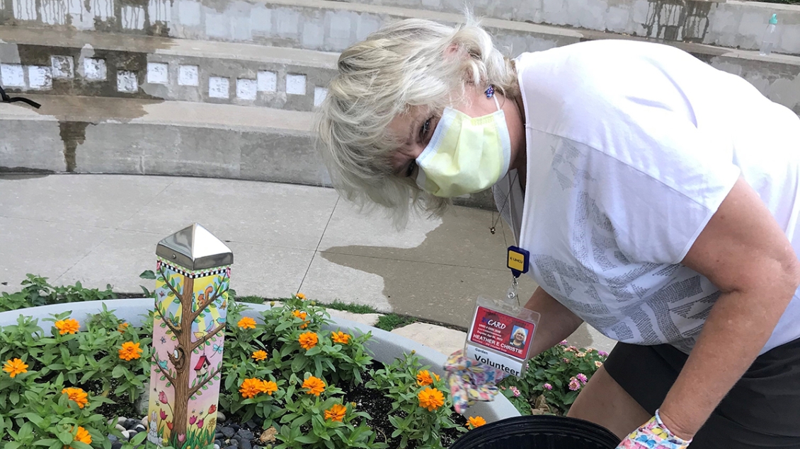 Woman wearing mask, a white top and shorts bending in front of a large planter with marigolds