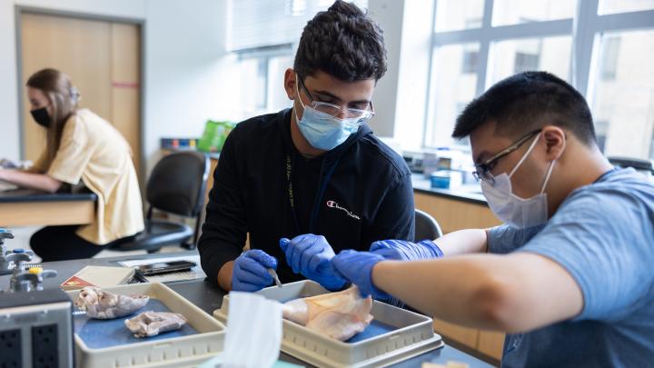 Two young diverse men wearing masks and blue surgical gloves in labe