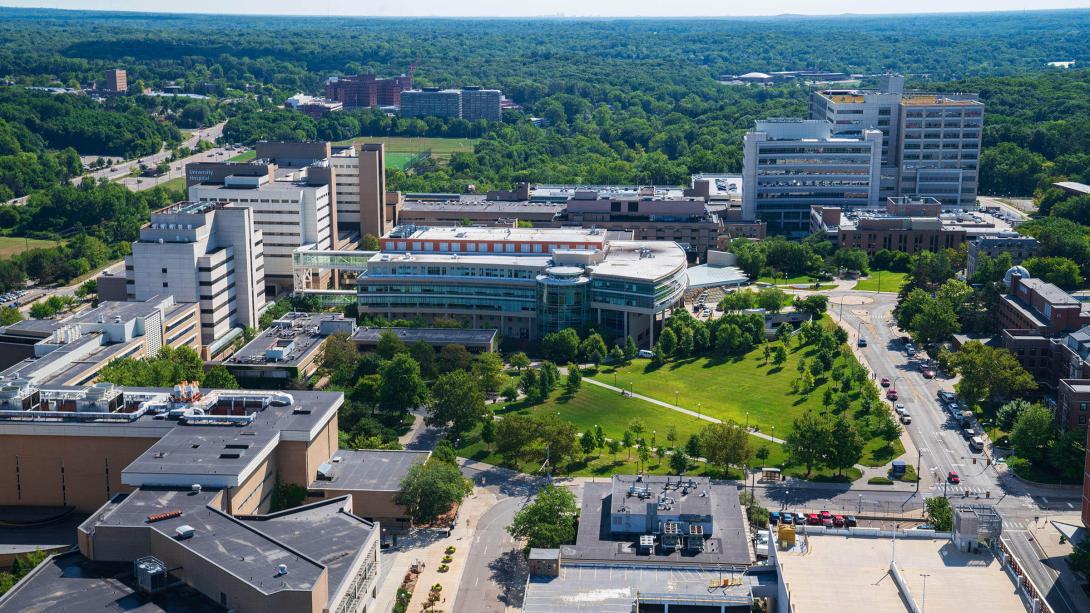 Aerial view of location of the Pavilion