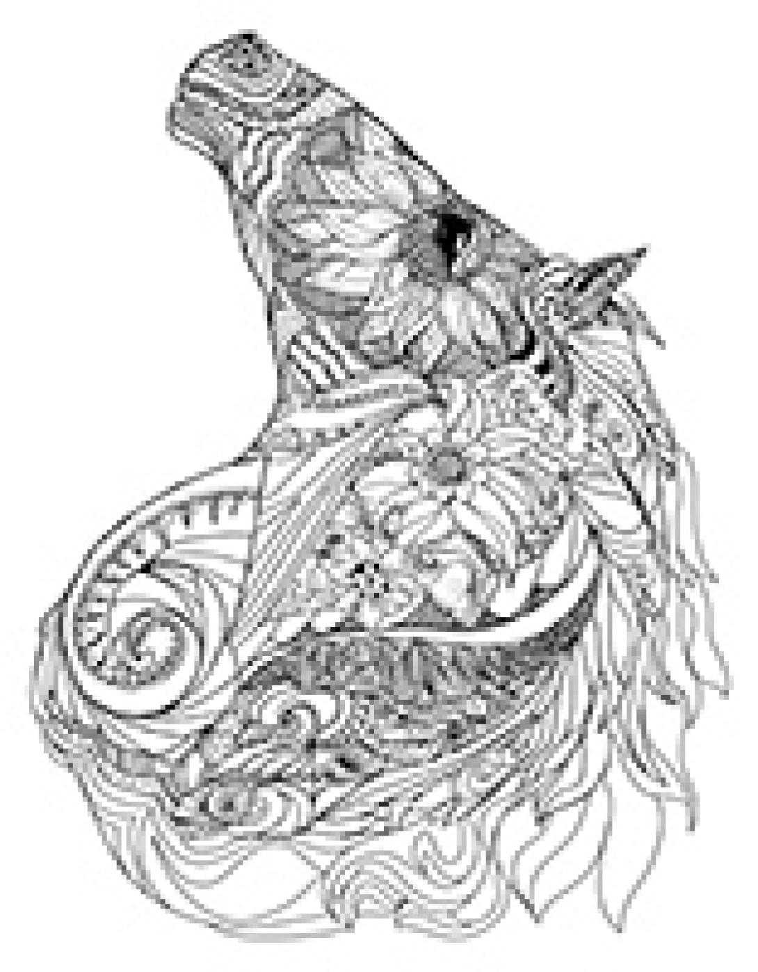 Fairy horse coloring page