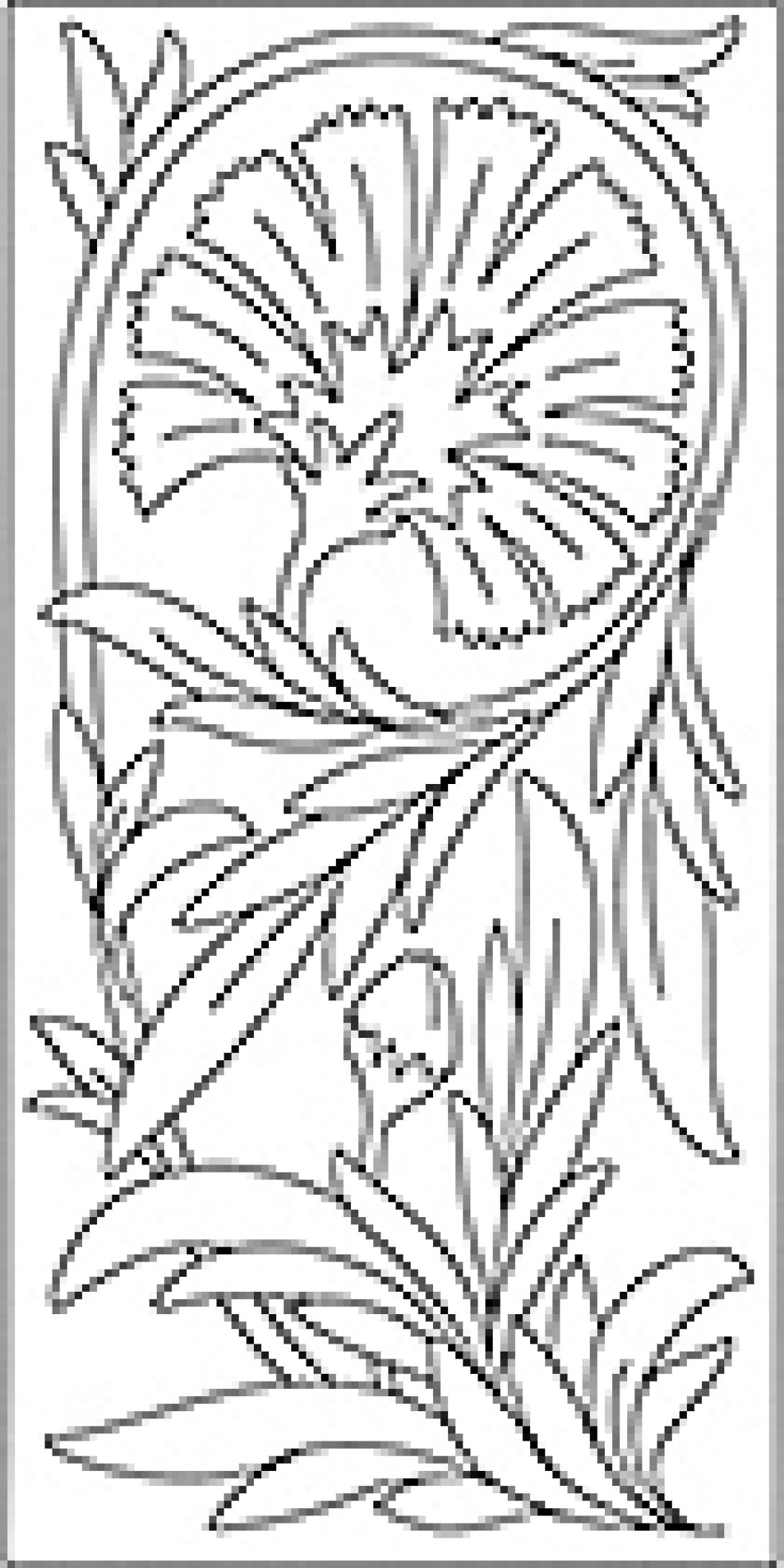 Carnation coloring page