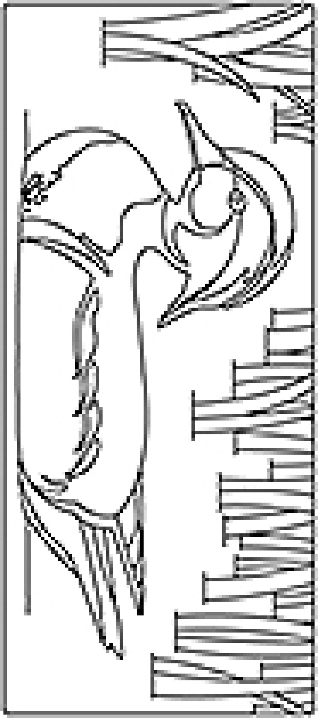 Mallard coloring page